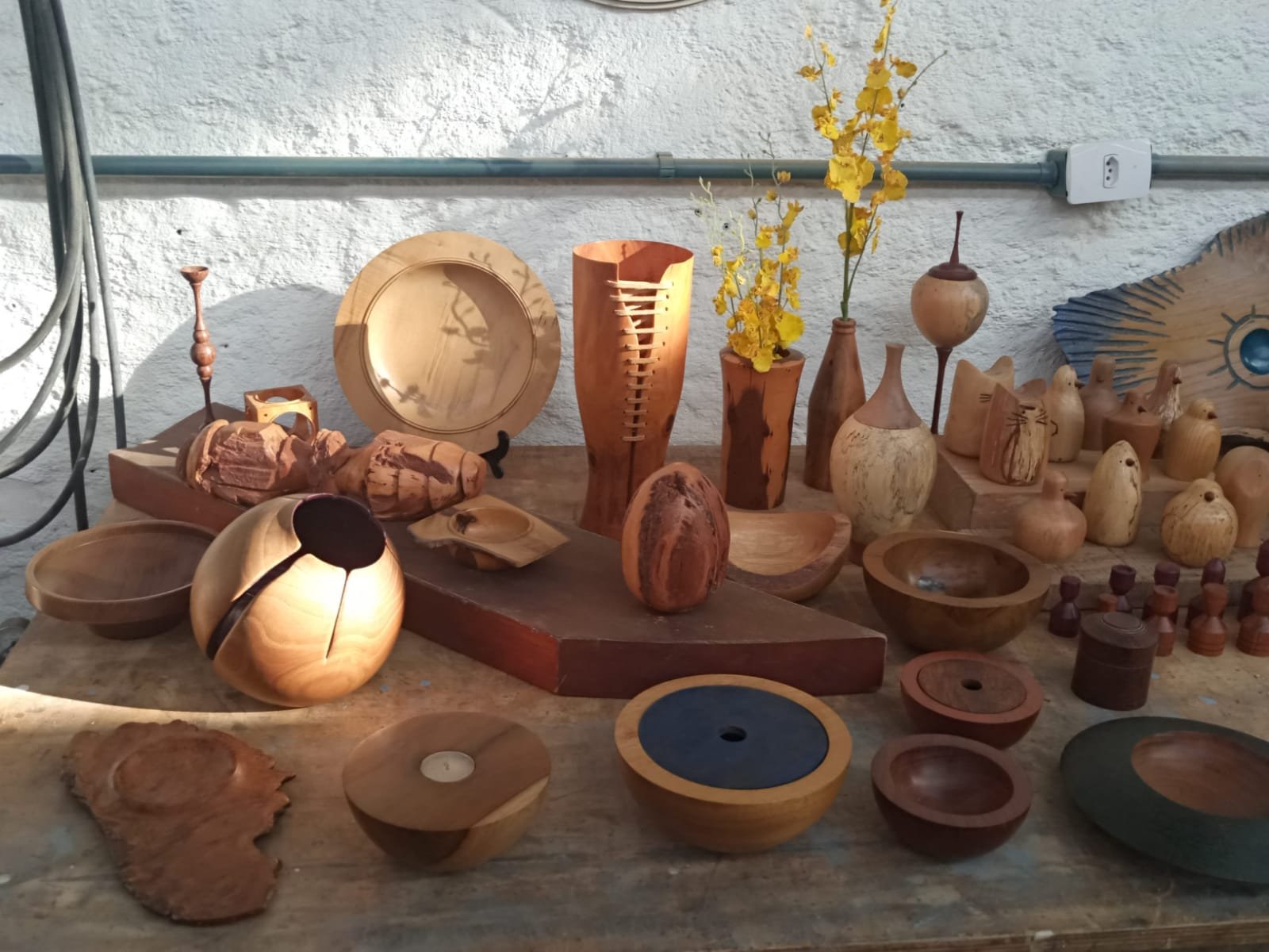 1ª edição - foto 14