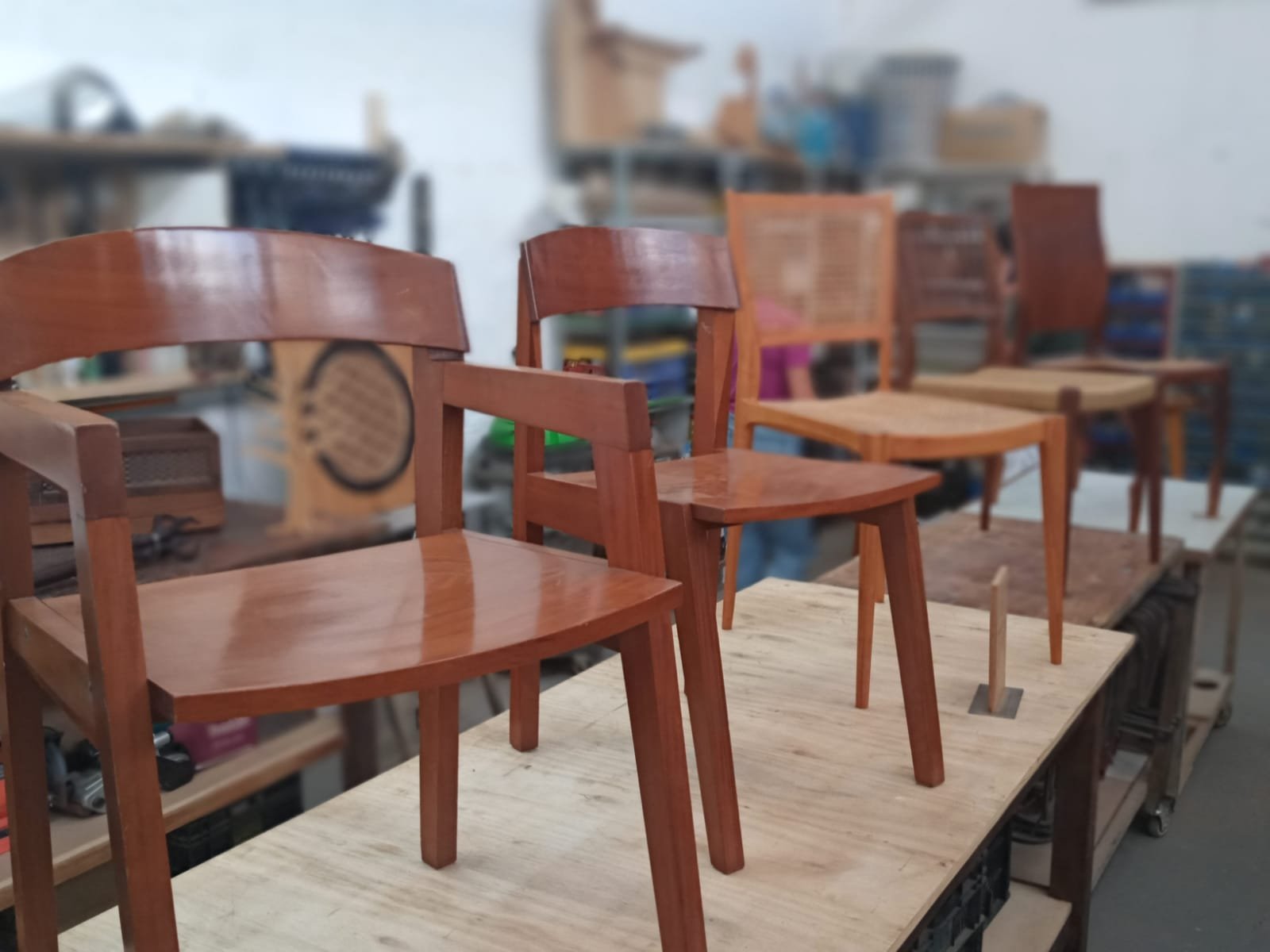 1ª edição - foto 12